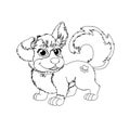 Coloring page for kids with funny dog with big tail.